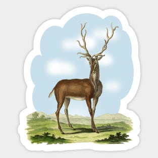 Deer Illustratuion Sticker